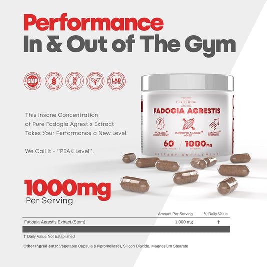 Fadogia Agrestis - Natural Testosterone Booster