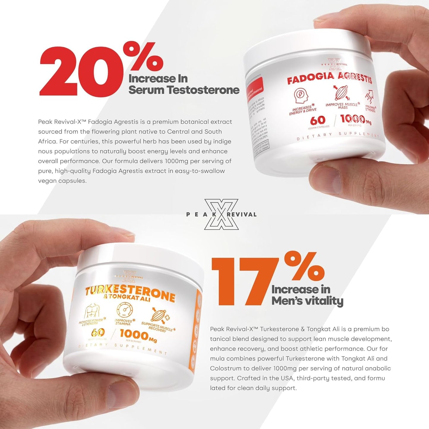 Fadogia Agrestis - Natural Testosterone Booster
