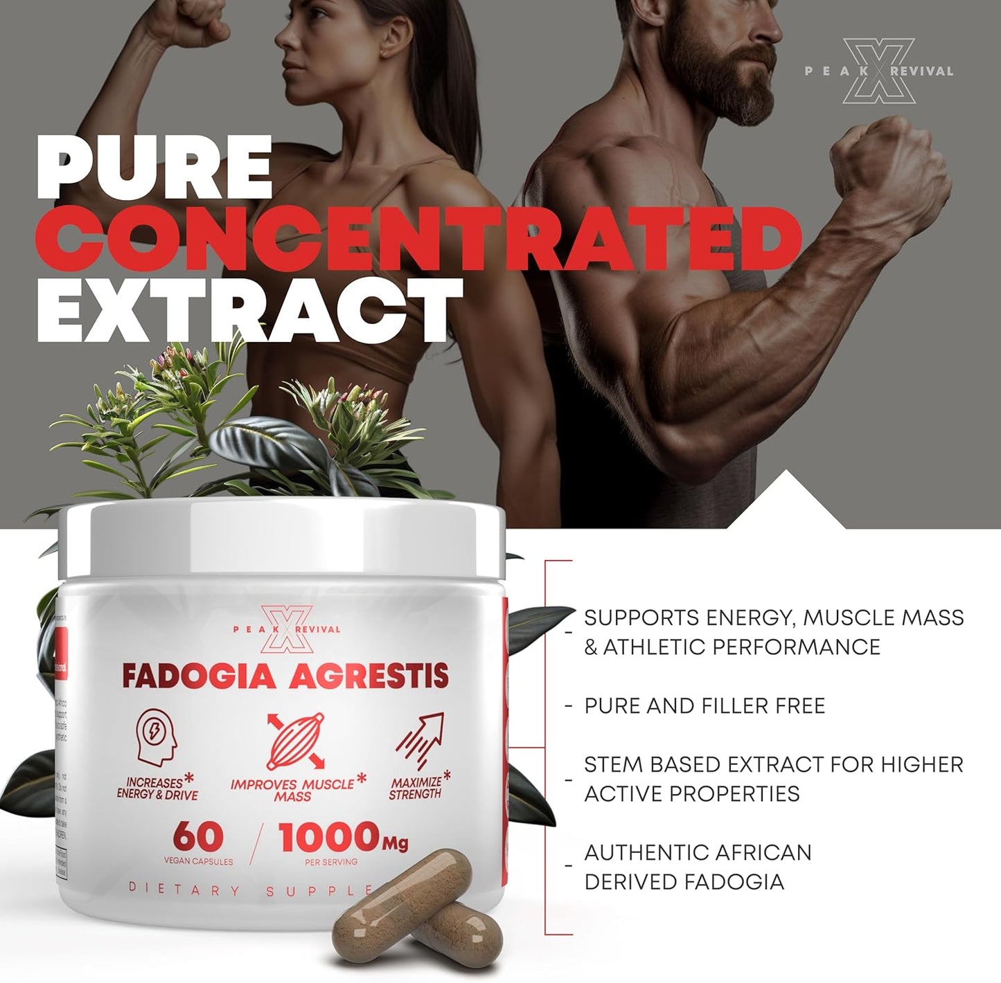 Fadogia Agrestis - Natural Testosterone Booster