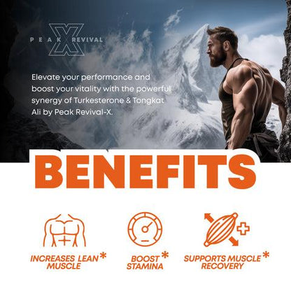 Turkesterone & Tongkat Ali Capsules for Performance